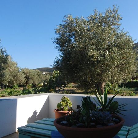 Villa Perivoli Platis Gialos  Exteriör bild
