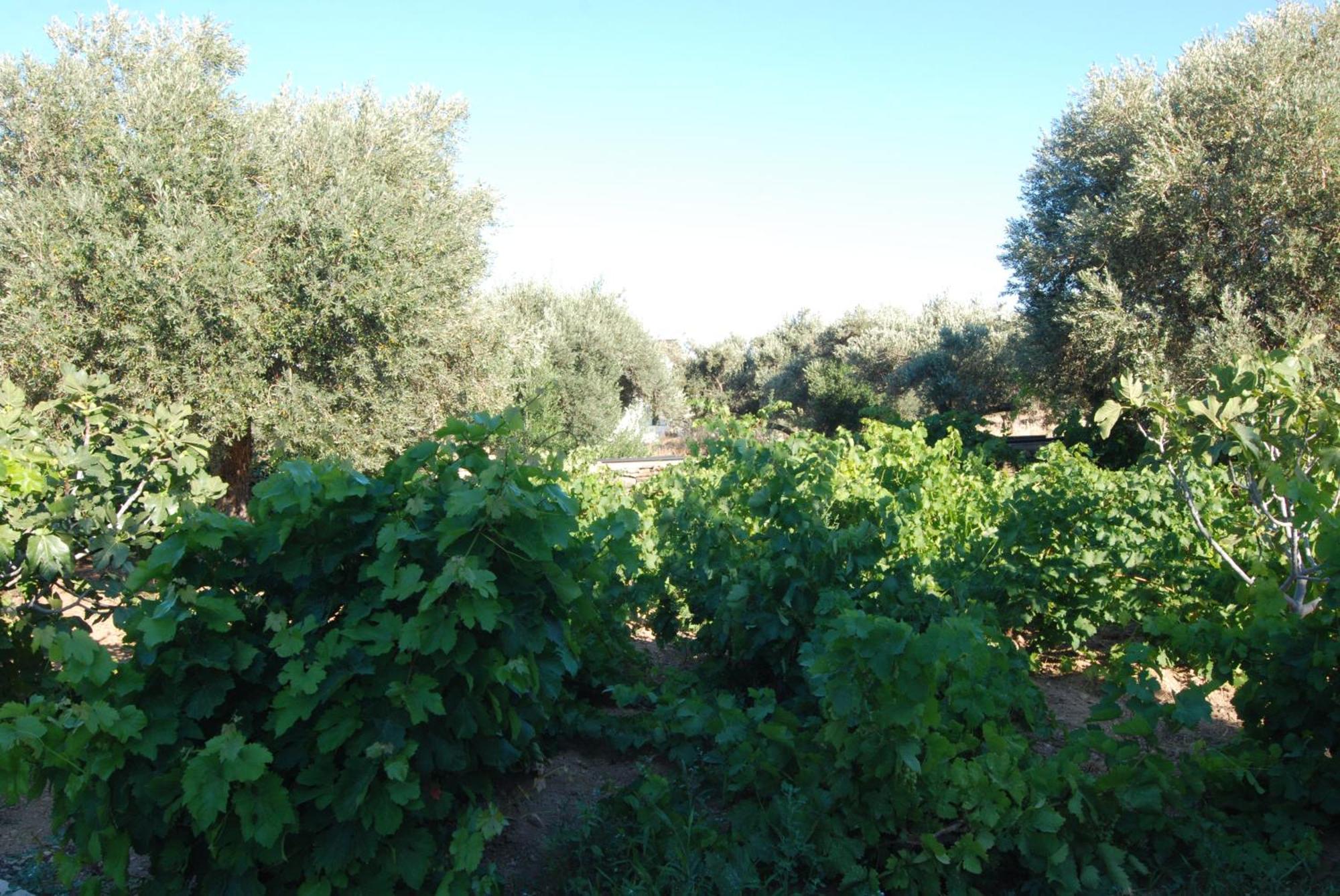 Villa Perivoli Platis Gialos  Exteriör bild