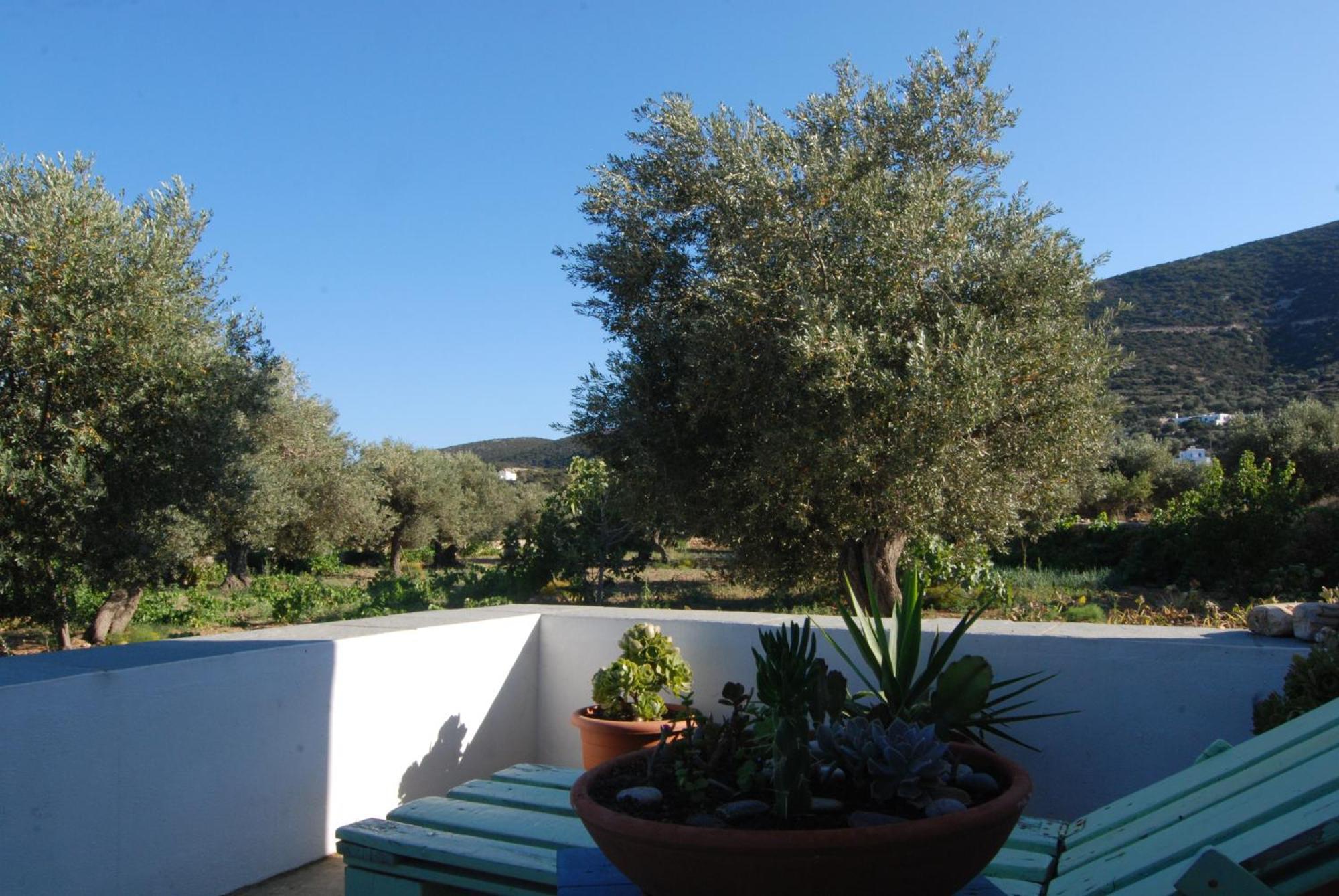 Villa Perivoli Platis Gialos  Exteriör bild